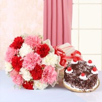Carnation Forest Magic